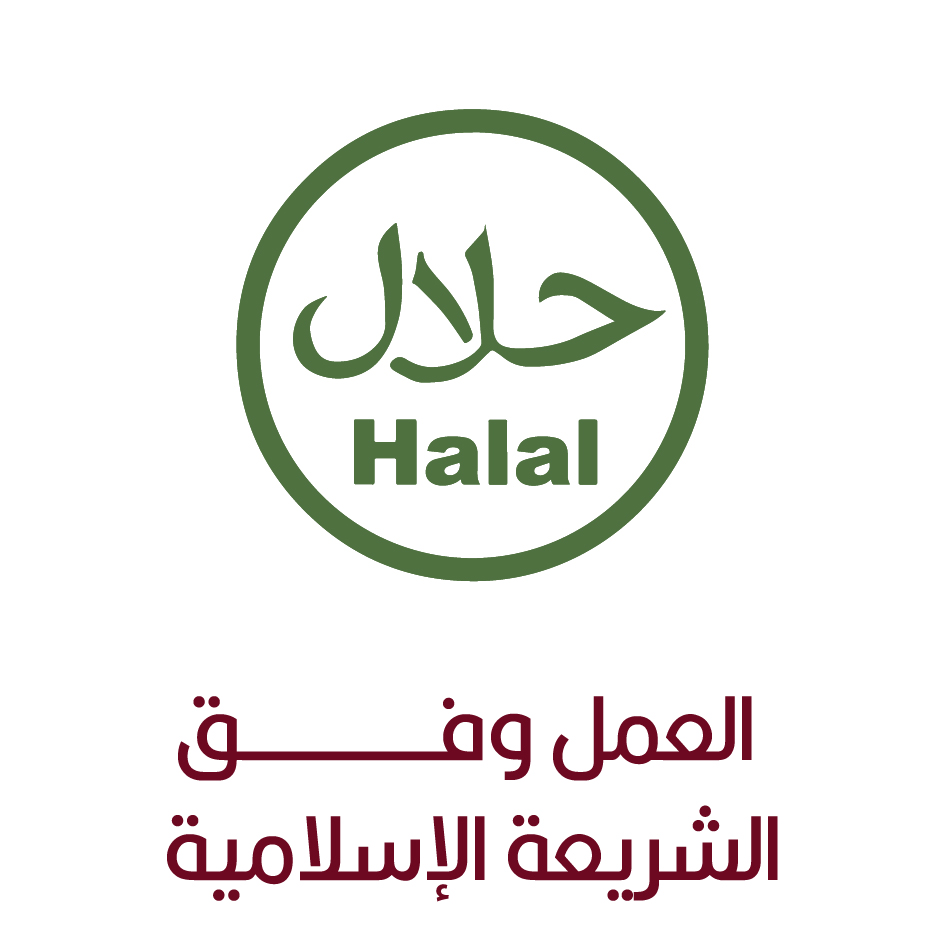 ايقونـــــــــــة-0١