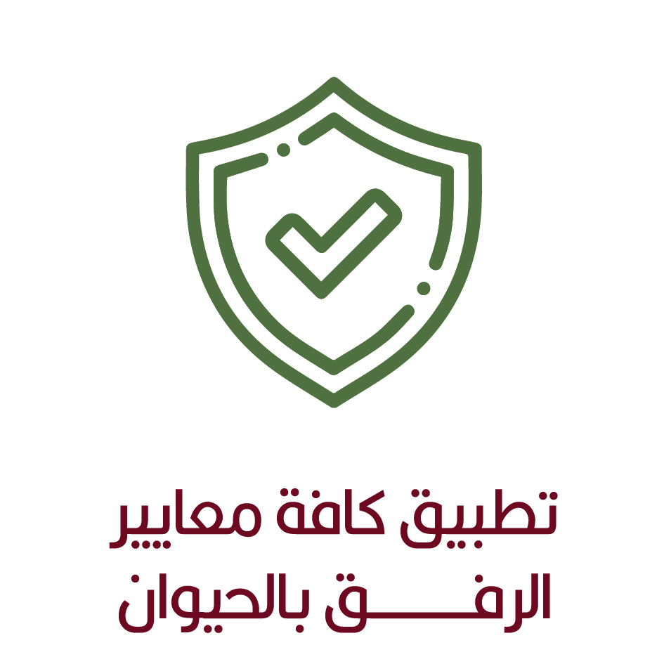 ايقونـــــــــــة-0٢