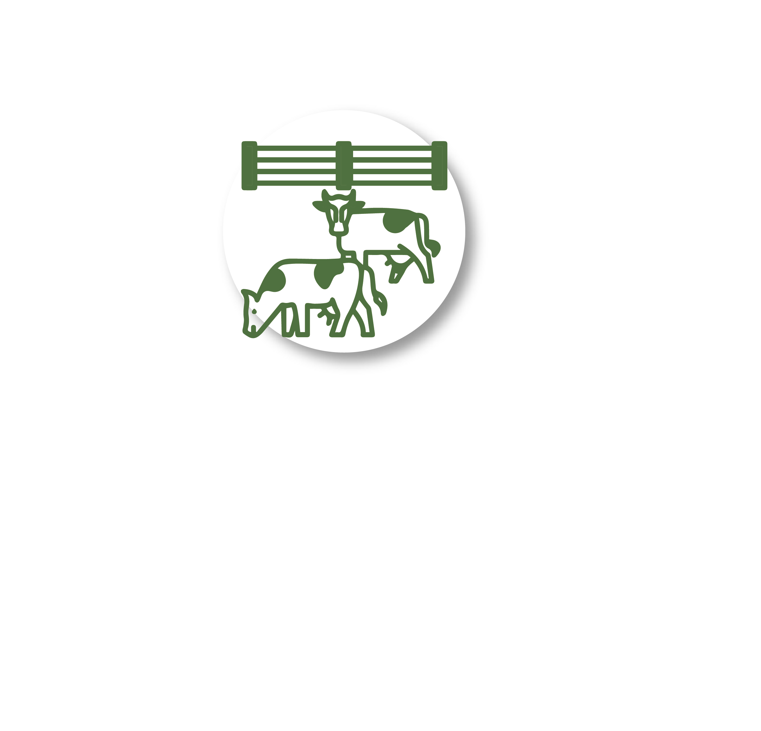 تصميم موقع جزء 3-0٣