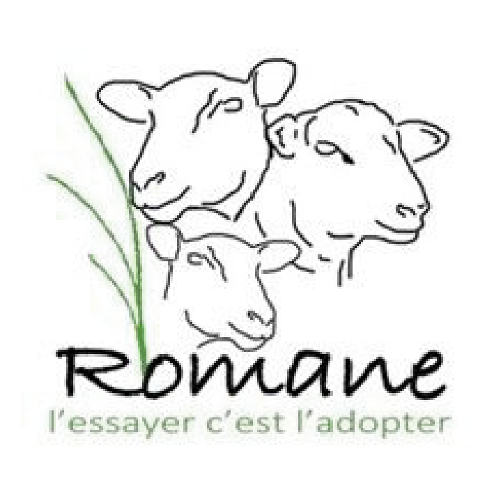 شعارات شركاء-١٠