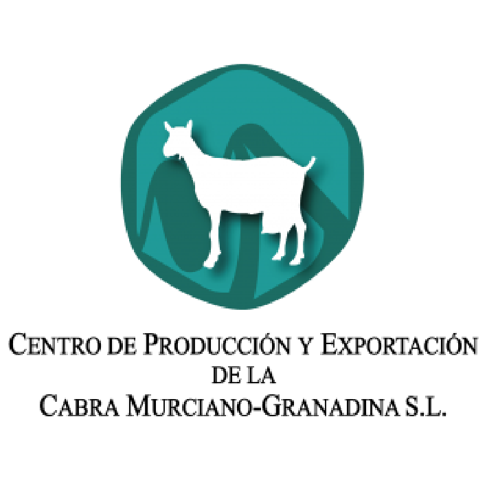 شعارات شركاء-١٢