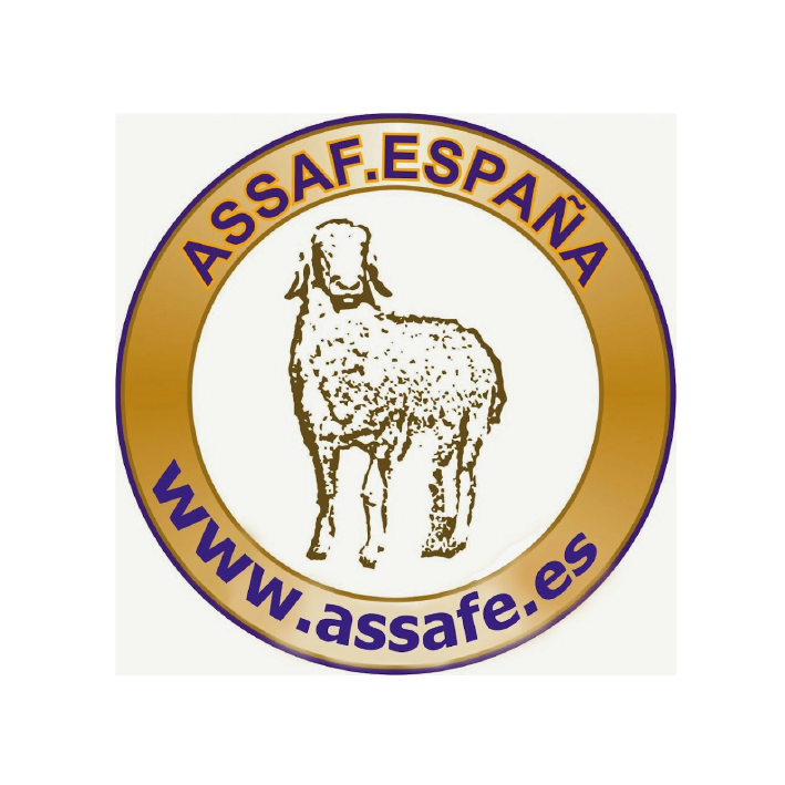 شعارات شركاء-١٣