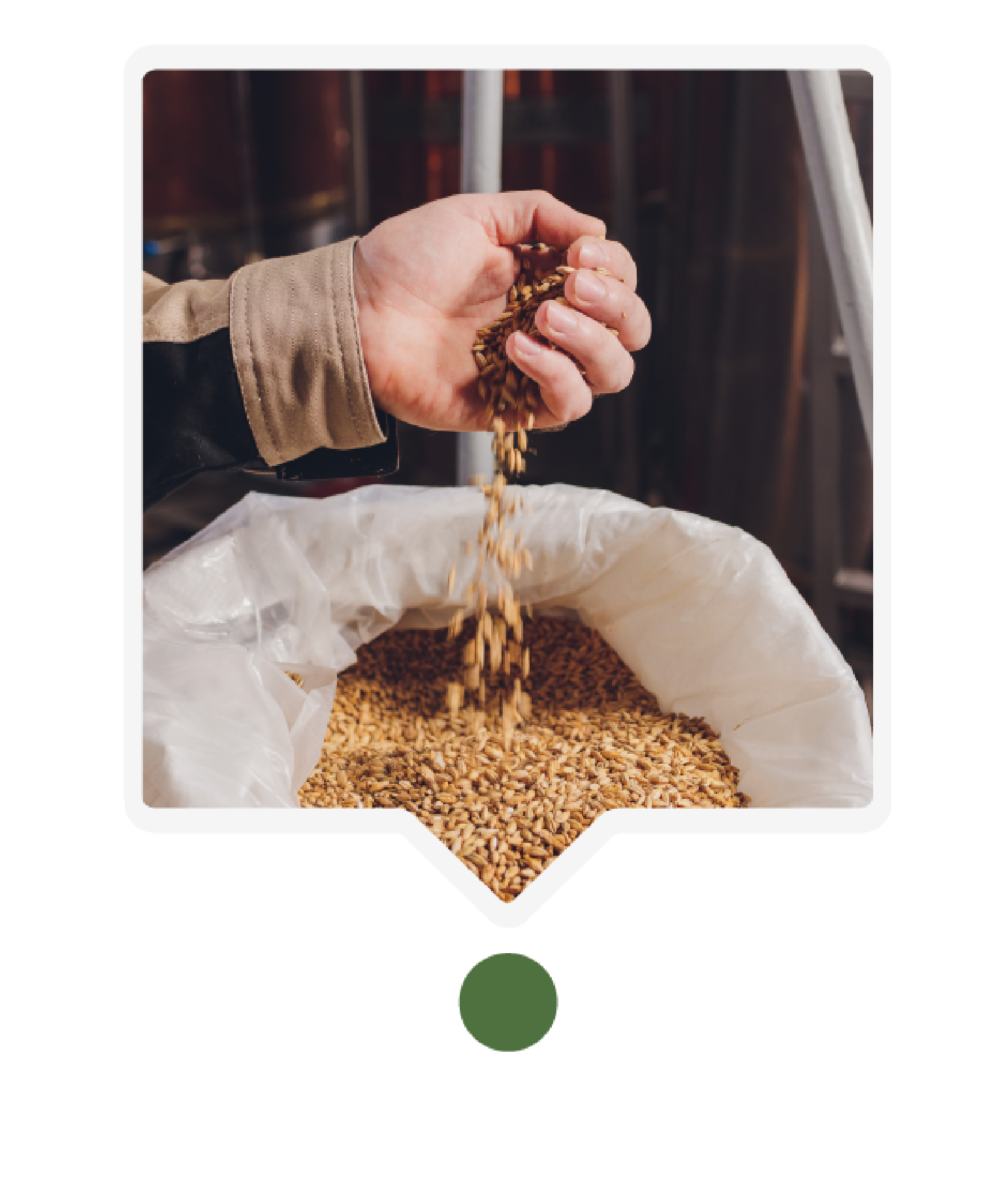 مكونات المشروع-0١