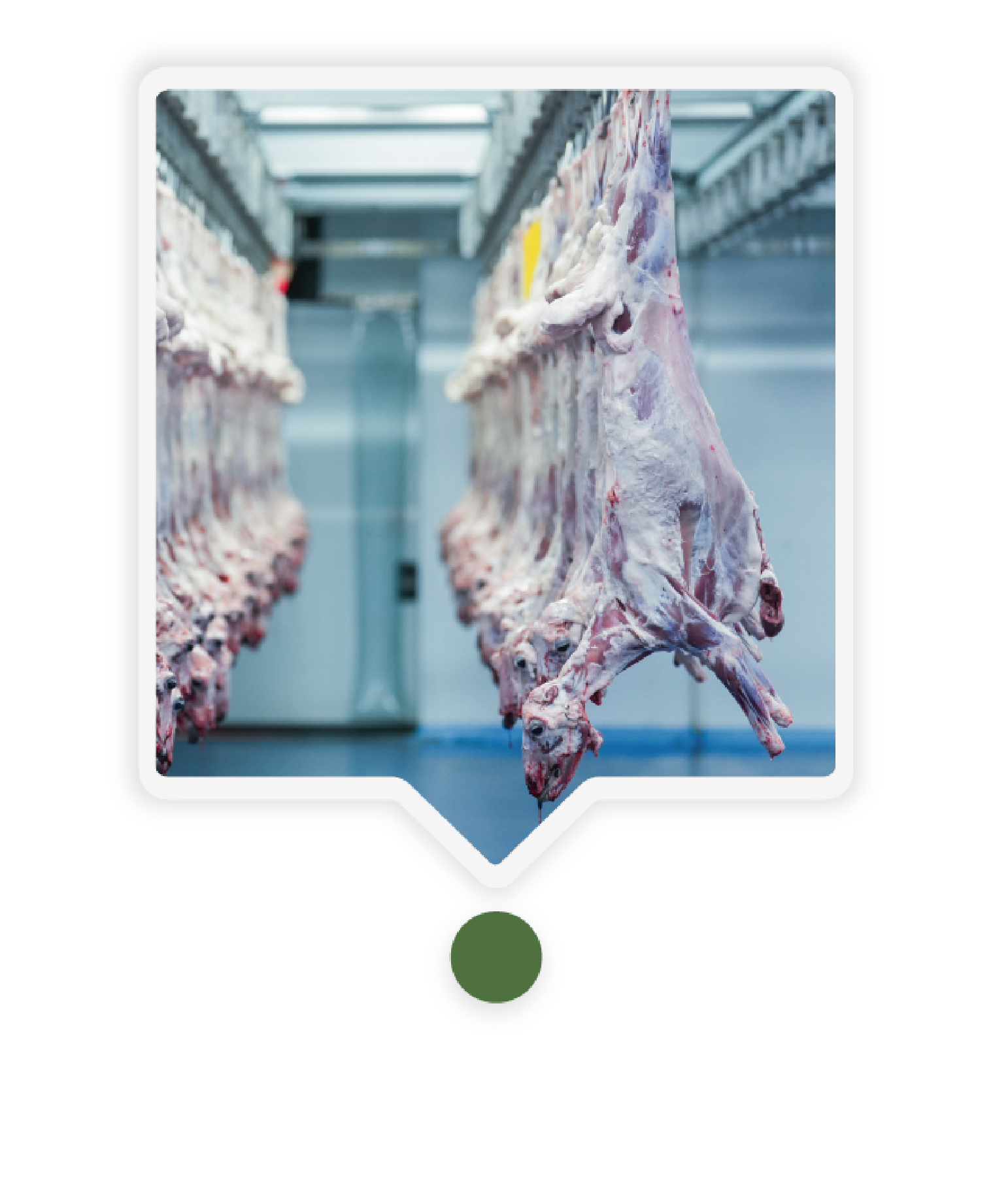 مكونات المشروع-0٨